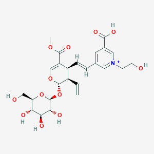 molecular formula C25H32NO12+ B1261628 Lonijaposide B 