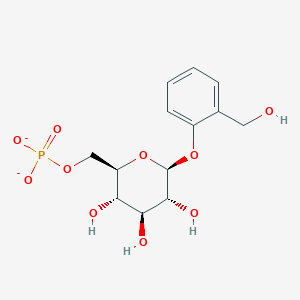 molecular formula C13H17O10P-2 B1261681 水杨苷-6-磷酸(2-) 