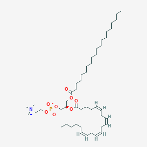 molecular formula C48H88NO8P B1261688 PC(20:0/20:4(5Z,8Z,11Z,14Z)) 