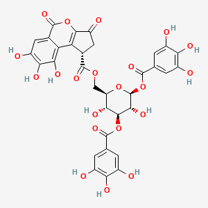 molecular formula C33H26O21 B1261693 巴拉诺光素 E 