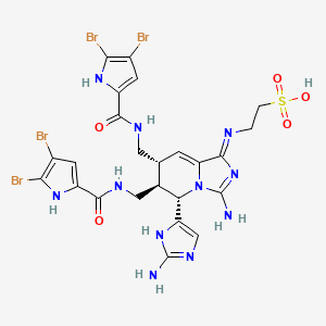 molecular formula C24H25Br4N11O5S B1261698 Nagelamide K 