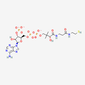 molecular formula C21H32N7O16P3S-4 B1261705 coenzyme A(4-) 