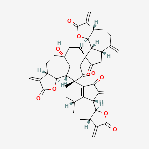 molecular formula C45H44O10 B1261759 Ainsliatrimer A 