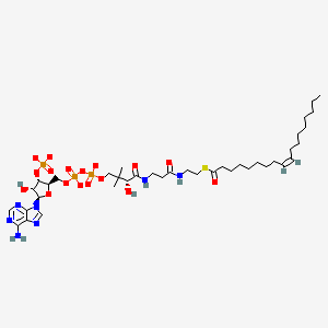 molecular formula C39H64N7O17P3S-4 B1261768 oleoyl-CoA(4-) 