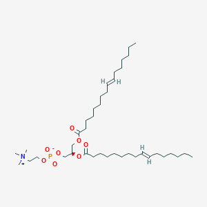 B1261804 1,2-di-(9E-hexadecenoyl)-sn-glycero-3-phosphocholine CAS No. 56816-00-3