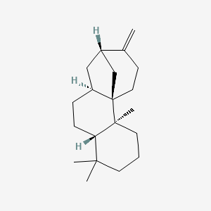 molecular formula C20H32 B1261810 茎腺-13(17)-烯 