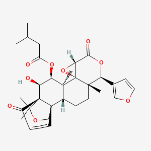 molecular formula C31H38O9 B1261837 7-Isovaleroylcycloseverinolide 