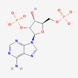 molecular formula C10H11N5O10P2-4 B1261853 2'-Phosphoadenosine 5'-phosphate 