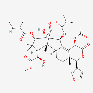 molecular formula C38H48O14 B1261858 Augustineolide 