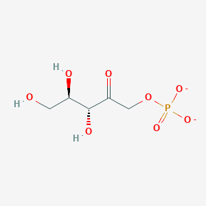 molecular formula C5H9O8P-2 B1261864 D-ribulose 1-phosphate(2-) 