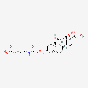 molecular formula C28H42N2O8 B12618723 5-[[2-[[(8S,9S,10R,11S,13S,14S,17R)-11,17-dihydroxy-17-(2-hydroxyacetyl)-10,13-dimethyl-2,6,7,8,9,11,12,14,15,16-decahydro-1H-cyclopenta[a]phenanthren-3-ylidene]amino]oxyacetyl]amino]pentanoic acid 