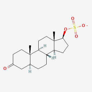 molecular formula C19H29O5S- B1261883 3-Oxo-5alpha-androstan-17beta-yl sulfate 
