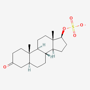 3-Oxo-5alpha-androstan-17beta-yl sulfate