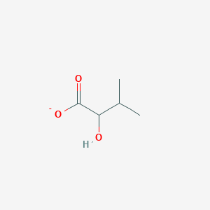 molecular formula C5H9O3- B1261901 2-Hydroxy-3-methylbutanoate 