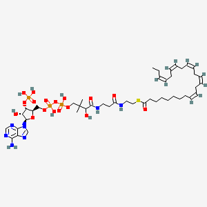 molecular formula C45H72N7O17P3S B1261970 (9Z,12Z,15Z,18Z,21Z)-Tetracosaheptaenoyl-CoA 