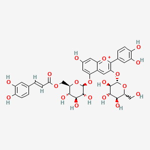 molecular formula C36H37O19+ B1261971 Cyanidin 3-glucoside 5-caffeoylglucoside 