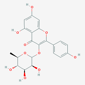 molecular formula C21H20O10 B1261975 kaempferol 3-O-rhamnoside 