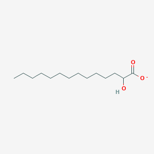 molecular formula C14H27O3- B1261983 2-Hydroxymyristate 
