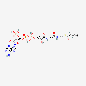 molecular formula C28H44N7O17P3S B1262015 S-[2-[3-[[4-[[[(2R,3S,4R,5R)-5-(6-aminopurin-9-yl)-4-hydroxy-3-phosphonooxyoxolan-2-yl]methoxy-hydroxyphosphoryl]oxy-hydroxyphosphoryl]oxy-2-hydroxy-3,3-dimethylbutanoyl]amino]propanoylamino]ethyl] (2E)-5-methylhexa-2,4-dienethioate 