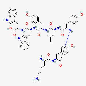 molecular formula C61H72N10O11 B12620160 L-Lysyl-L-tyrosyl-L-tyrosyl-L-leucyl-L-tyrosyl-L-tryptophyl-L-tryptophan CAS No. 915146-70-2