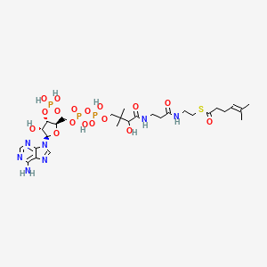 molecular formula C28H46N7O17P3S B1262028 5-Methylhex-4-enoyl-CoA 