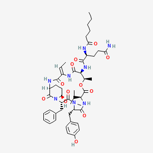 molecular formula C48H66N8O12 B1262097 Lyngbyastatin 7 
