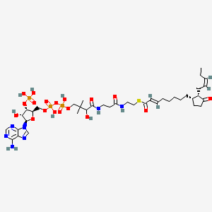 molecular formula C39H62N7O18P3S B1262109 trans-2-Enoyl-OPC8-CoA; (Acyl-CoA); [M+H]+ 