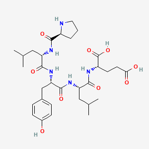 molecular formula C31H47N5O9 B12621186 L-Prolyl-L-leucyl-L-tyrosyl-L-leucyl-L-glutamic acid CAS No. 921206-99-7