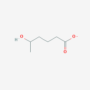 5-Hydroxyhexanoate
