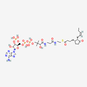 OPC4-CoA; (Acyl-CoA); [M+H]+