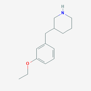 molecular formula C14H21NO B12622636 3-(3-Ethoxy-benzyl)-piperidine CAS No. 955287-94-2