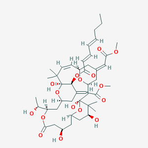 molecular formula C45H66O16 B1262306 [(1S,3S,5Z,7R,8Z,11S,12S,13E,15S,17R,21R,23R,25S)-1,11,21,25-tetrahydroxy-17-[(1R)-1-hydroxyethyl]-5,13-bis(2-methoxy-2-oxoethylidene)-10,10,26,26-tetramethyl-19-oxo-18,27,28,29-tetraoxatetracyclo[21.3.1.13,7.111,15]nonacos-8-en-12-yl] (2E,4E)-octa-2,4-dienoate 
