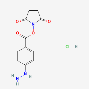 molecular formula C11H12ClN3O4 B1262319 (2,5-Dioxopyrrolidin-1-yl) 4-hydrazinylbenzoate;hydrochloride 