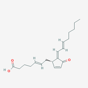 molecular formula C20H28O3 B1262324 (5E,14E)-11-oxoprosta-5,9,12,14-tetraen-1-oic acid 