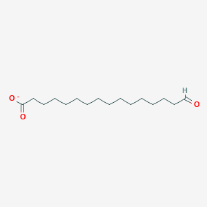 molecular formula C16H29O3- B1262386 16-Oxo-palmitate 