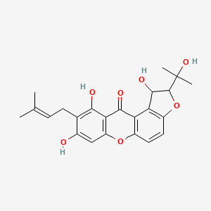 molecular formula C23H24O7 B1262404 1,8,10-Trihydroxy-2-(1-hydroxy-1-methylethyl)-9-(3-methyl-2-butenyl)-1,2-dihydro-11H-furo[3,2-a]xanthene-11-one 