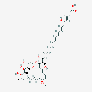 (4E,6S,8E,10E,12E,14E,16E,18E,20R,21R)-6,20-dihydroxy-4,18-dimethyl-21-[(2S,4R,8S,10Z,12E,15S,16R,17S,18S,19R,20R)-4,16,18,20-tetrahydroxy-8-methoxy-15,17,19-trimethyl-22-oxooxacyclodocosa-10,12-dien-2-yl]docosa-4,8,10,12,14,16,18-heptaenoic acid