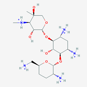 molecular formula C19H44N5O7+5 B1262445 gentamycin C1a(5+) 