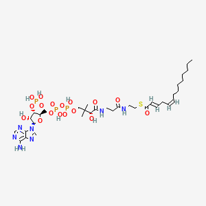 molecular formula C35H58N7O17P3S B1262454 (2E,5Z)-tetradecadienoyl-CoA 