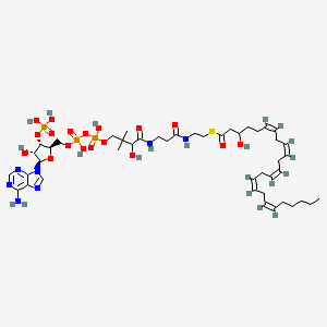 molecular formula C45H72N7O18P3S B1262508 (6Z,9Z,12Z,15Z,18Z)-3-Hydroxytetracosapenta-6,9,12,15,18-enoyl-CoA 