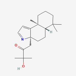 molecular formula C20H31NO2 B1262519 Chamobtusin A 