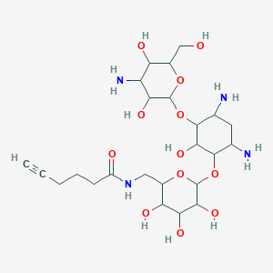molecular formula C24H42N4O12 B12626527 D-Streptamine, O-3-amino-3-deoxy-alpha-D-glucopyranosyl-(1-->6)-O-[6-deoxy-6-[(1-oxo-5-hexyn-1-yl)amino]-alpha-D-glucopyranosyl-(1-->4)]-2-deoxy- 