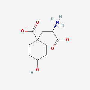 molecular formula C10H12NO5- B1262761 L-Arogenate 