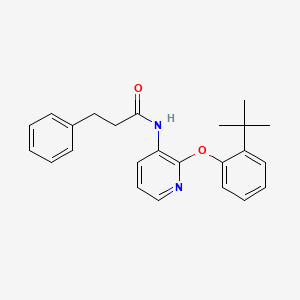 molecular formula C24H26N2O2 B12627794 N-[2-(2-tert-Butylphenoxy)pyridin-3-yl]-3-phenylpropanamide CAS No. 918343-78-9