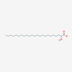 molecular formula C23H45O3- B1262812 2-Hydroxytricosanoate 