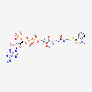 N-Methylanthraniloyl-CoA