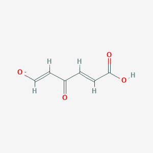 (2E,4Z)-4-hydroxy-6-oxohexa-2,4-dienoate