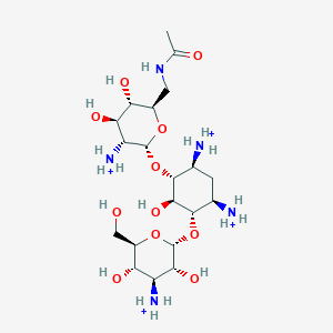 molecular formula C20H43N5O11+4 B1262871 N(6')-acetylkanamycin B(4+) 