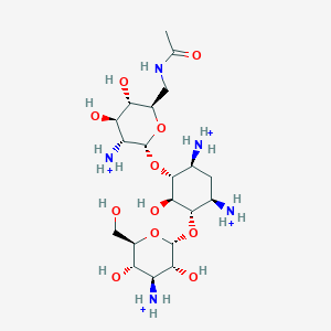 N(6')-acetylkanamycin B(4+)