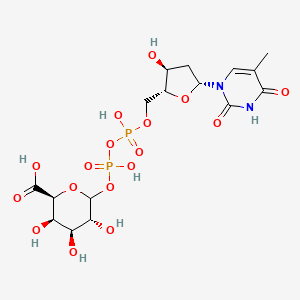 dTDP-D-galacturonic acid